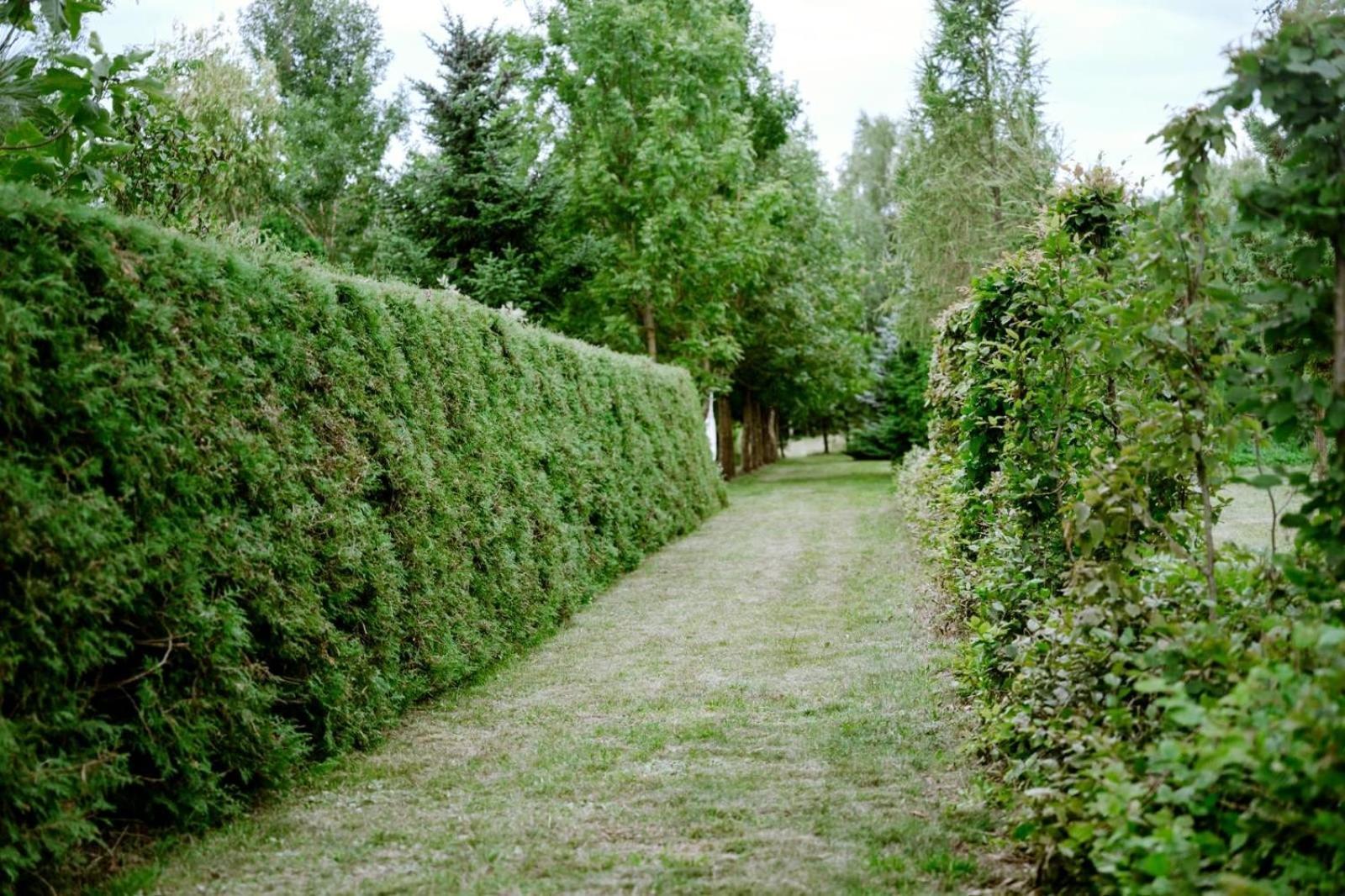 Zielona Parcela Pisz Bagian luar foto