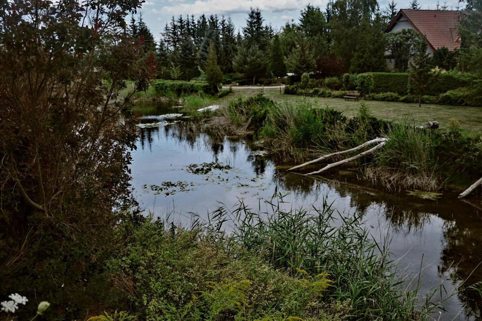 Zielona Parcela Pisz Bagian luar foto